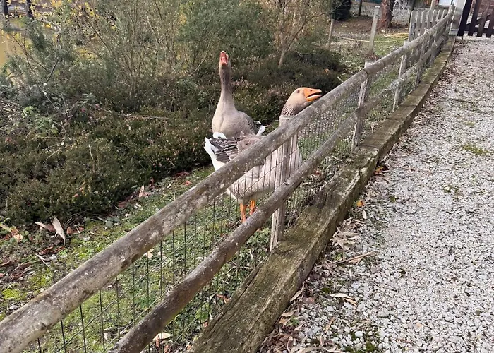 Petit Ideal A La Campagne Avec Parking 度假居 *